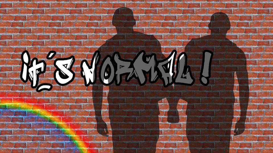 Homosexualita je normální!
